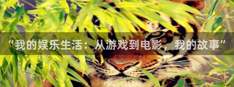 蓝狮在线游戏怎么注册：“我的娱乐生活：从游戏到电影，我的故事”