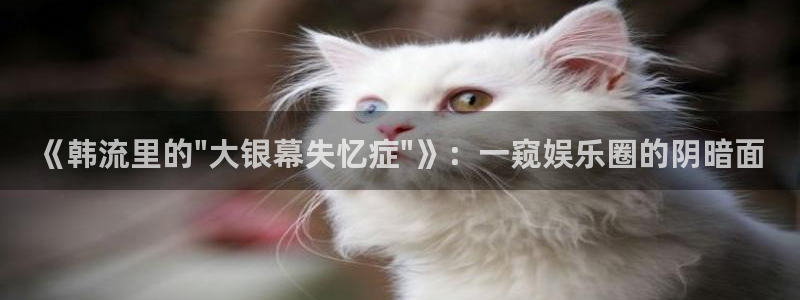 蓝狮在线注册平台官网：《韩流里的\