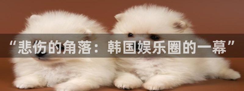 蓝狮在线登录：“悲伤的角落：韩国娱乐圈的一幕”