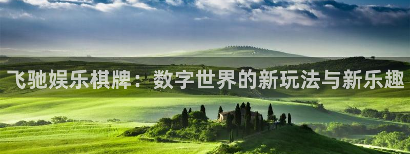 蓝狮在线游戏怎么注册：飞驰娱乐棋牌：数字世界的新玩法与新乐趣