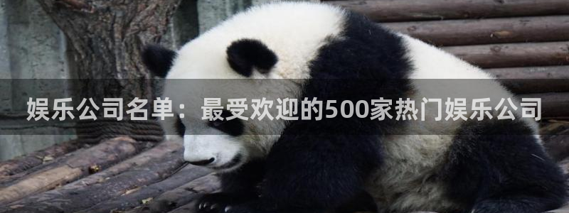 蓝狮在线游戏怎么注册：娱乐公司名单：最受欢迎的500家热门娱乐公司