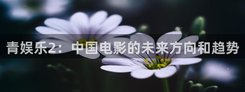 蓝狮在线：青娱乐2：中国电影的未来方向和趋势